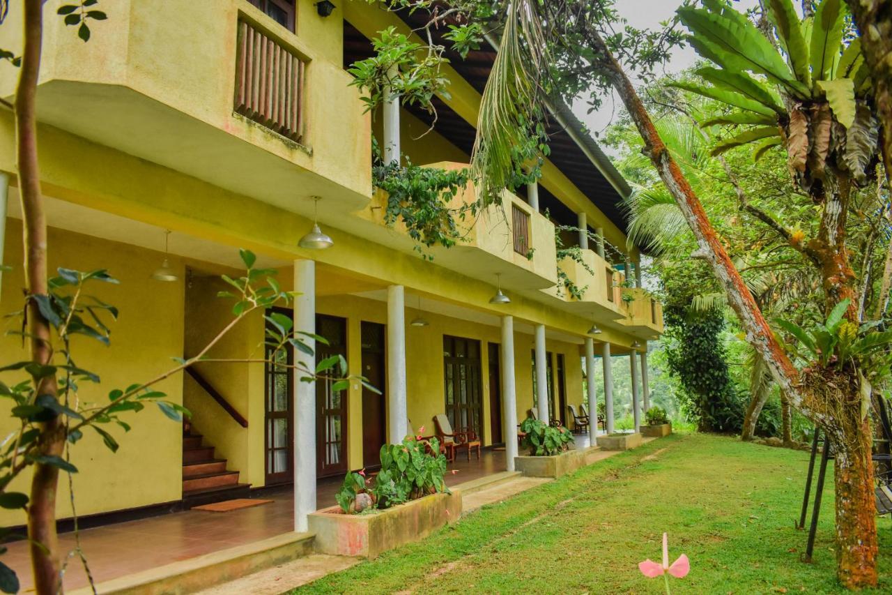 Blue Magpie Lodge Sinharaja Kudawe Exterior photo